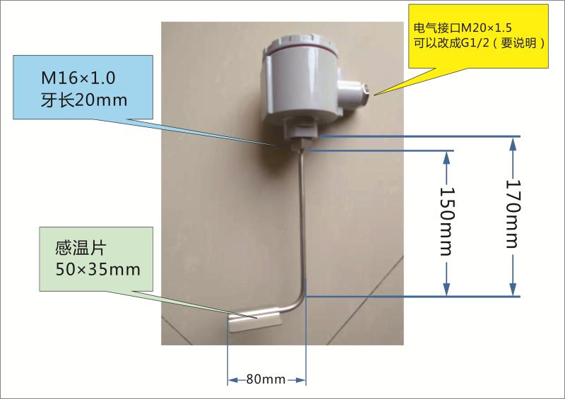 電伴熱專(zhuān)用熱電阻HNC-146-PT100